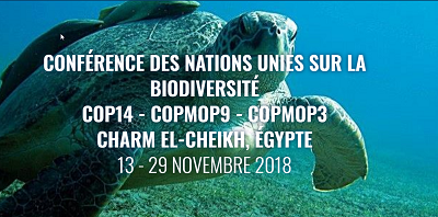 Participation du Mgoun Géoparc Mondial Unesco à la Cop14 sur la Biodiversité